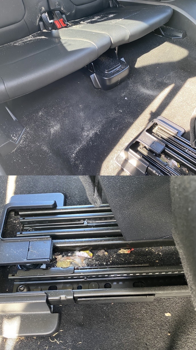 Ford Everest Interior Detail + Mould Removal BEFORE